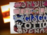 Custom dog collars, leashes, personalized, and leads