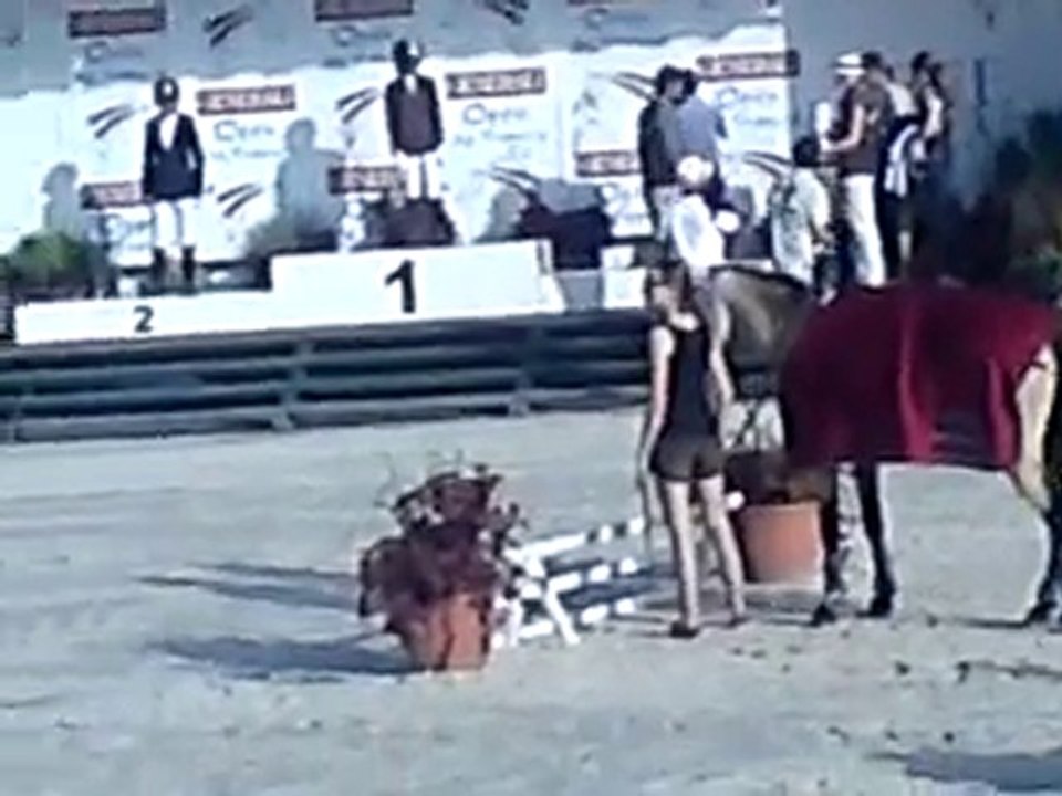 CCE Ponam C2 remise des prix - Lamotte Beuvron 2010