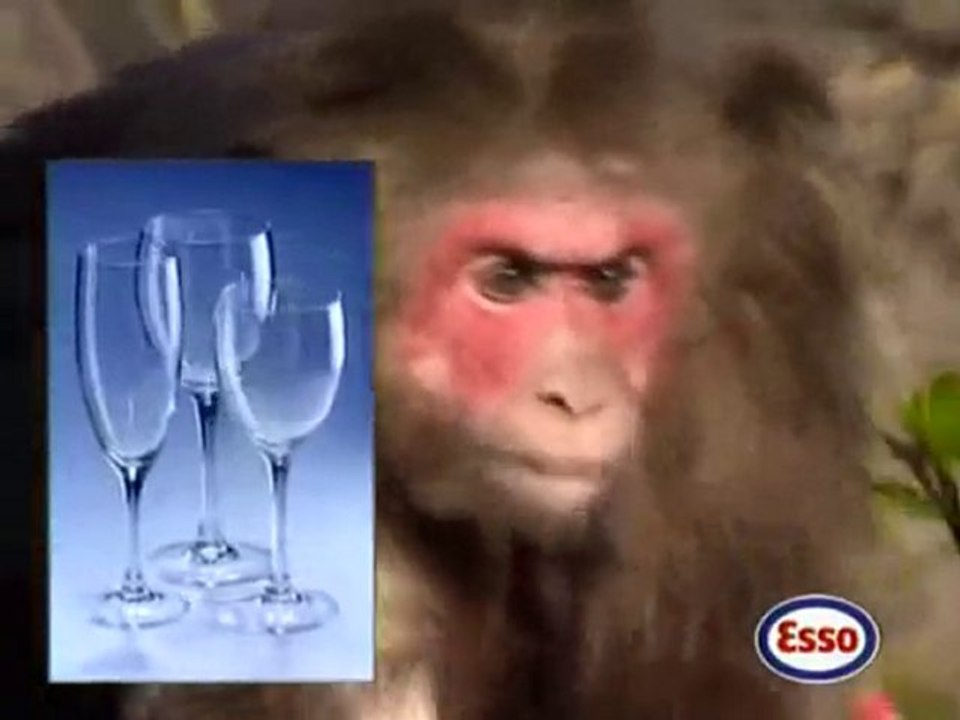 Publicité Esso avec Toumai, notre Tigre dressé