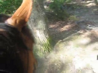 20.07.2010.trotting.15kms