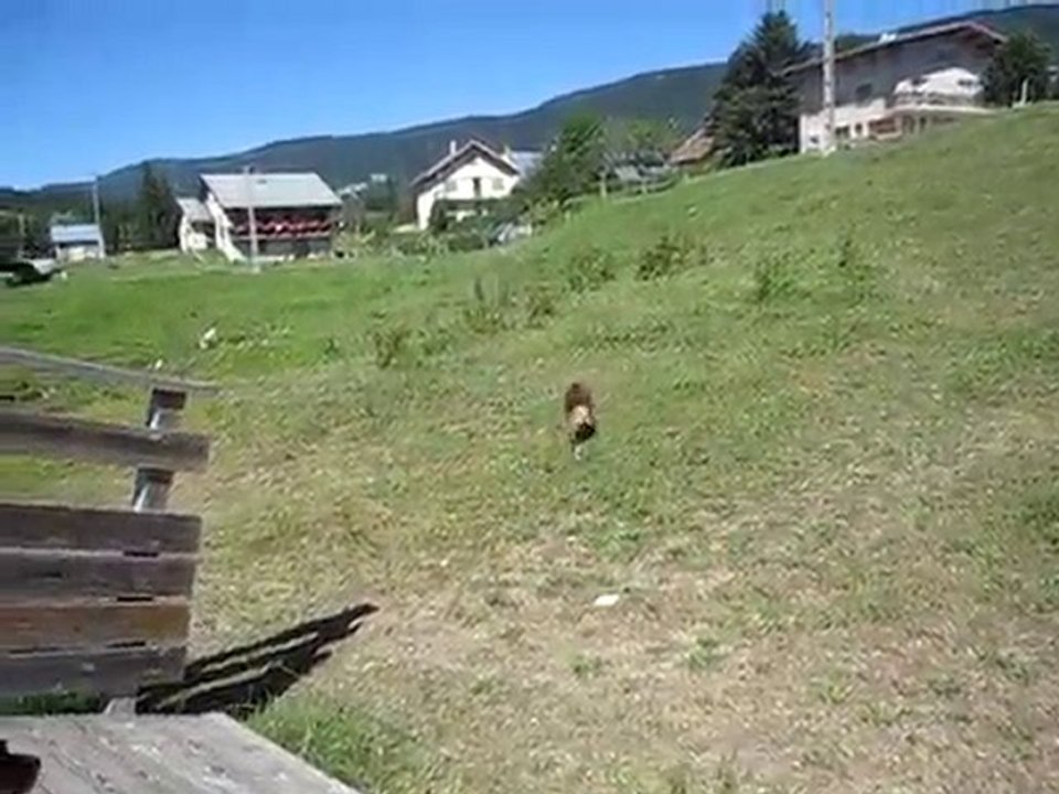 Autrans, la suite