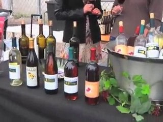 Wine Channel TV and Alto Vineyards