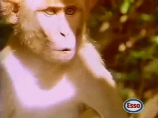 Publicité Esso avec Toumai, notre Tigre dressé