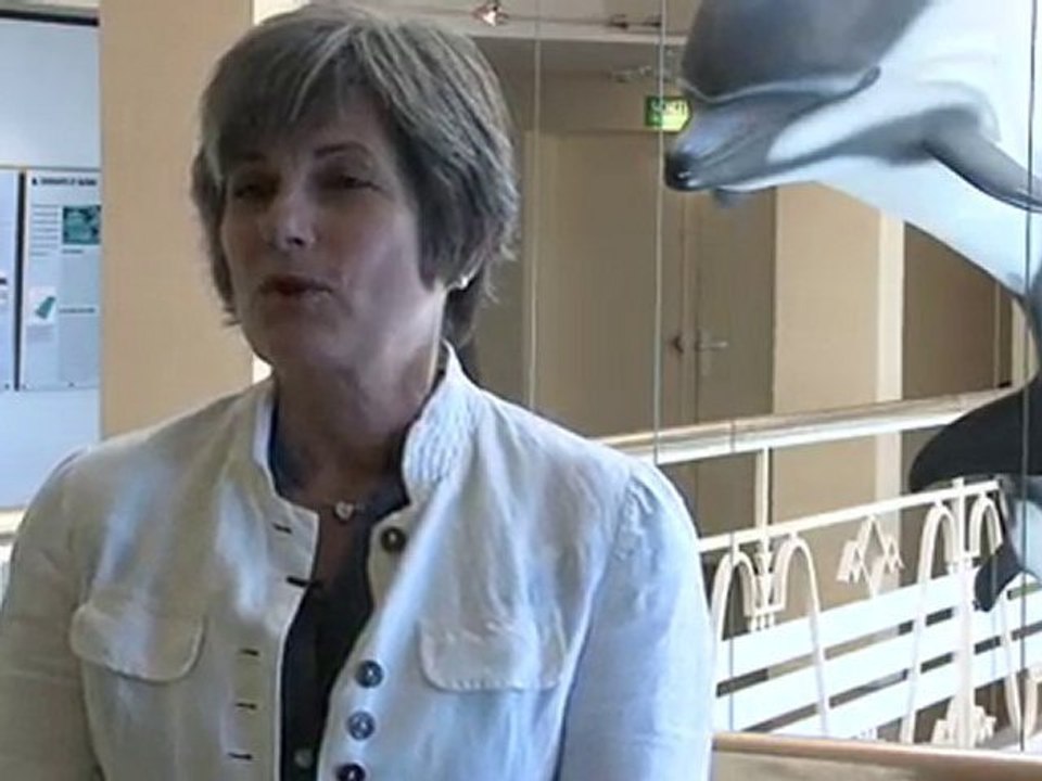 Chantier Extentions du Musée de la Mer