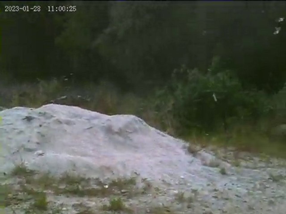 E-Revo Brushless bashing