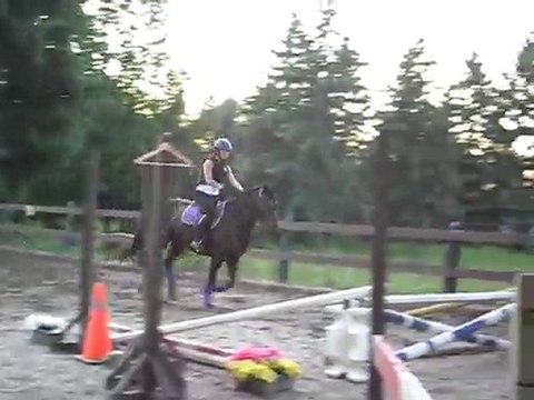 Cours de saut avec Paradox - Ecurie Marjani