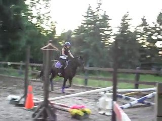 Cours de saut avec Paradox - Ecurie Marjani