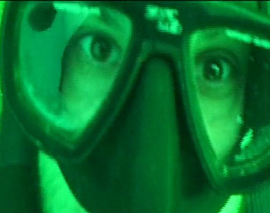 chasse sous marine sur épaves