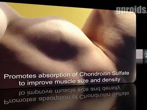 IGF-1 LR3 - Steroid Profiles