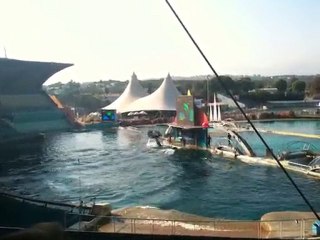 ♥♥ Marineland ♥♥