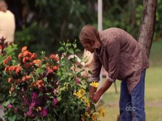 Chi Chi Chi Co Co Co