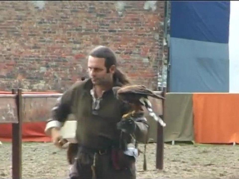 Franche Foire de Tourcoing 2009 - Art de la fauconnerie