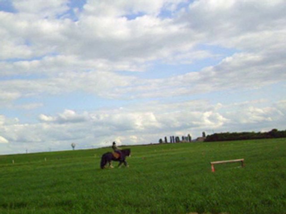 062010pre