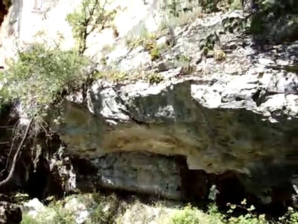 MOV06534