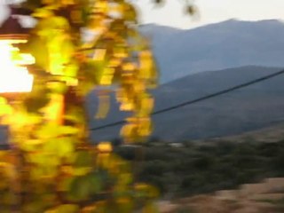 Groupe de danseurs crétois : laograkikos-omilos-chanion (3)