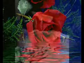 ŞEHİD MUSTAFA ÇAMRANI BİRDE EŞİNDEN DİNLEYİN..