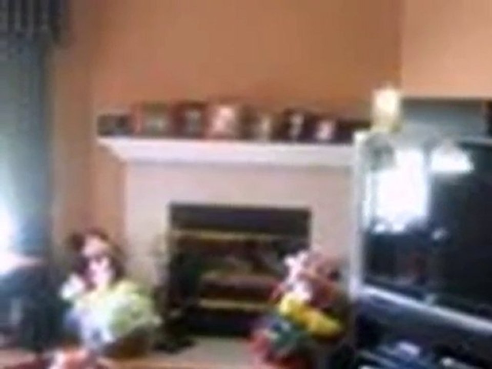 Homes for Sale - 825 New Buffalo Dr - Schererville, IN 46375