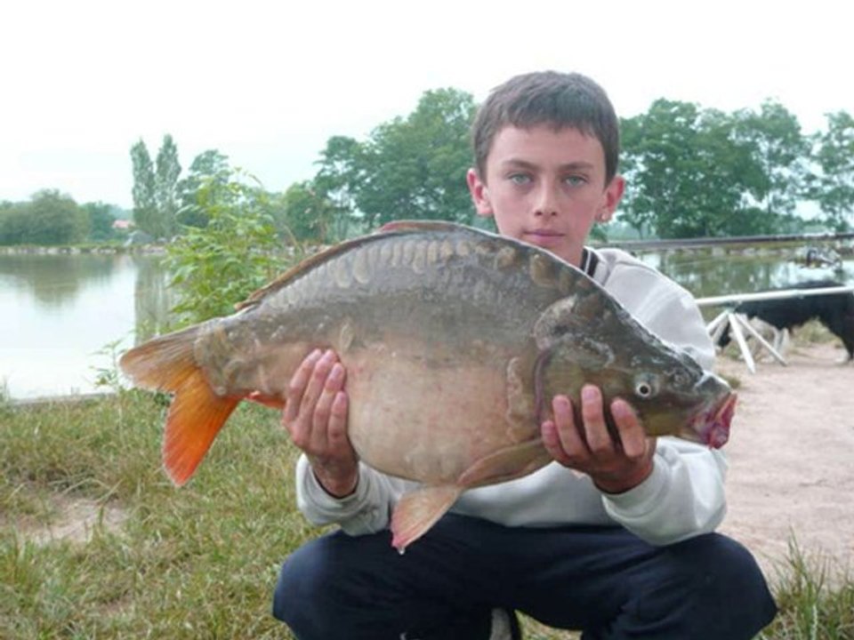 Peche de la carpe
