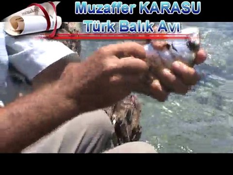 Muzaffer KARASU Sargoz