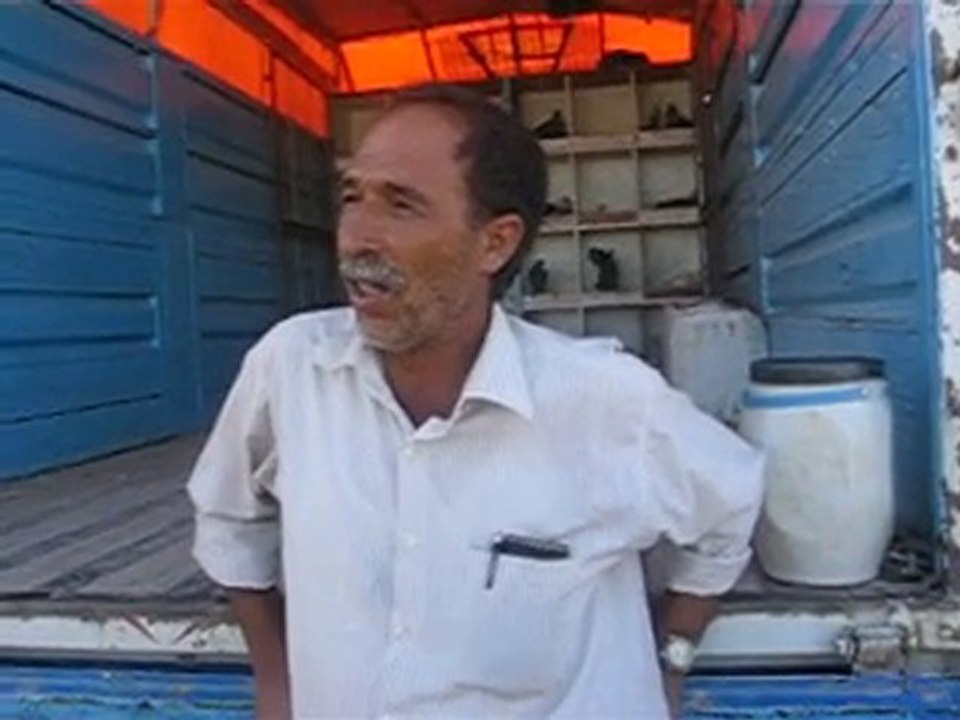 Karaman Güvercin-1