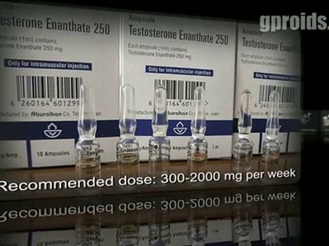 Testosterone Enanthate - Steroid Profiles