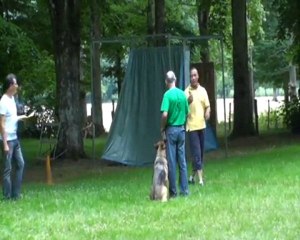 porte ouverte 2010n°1m