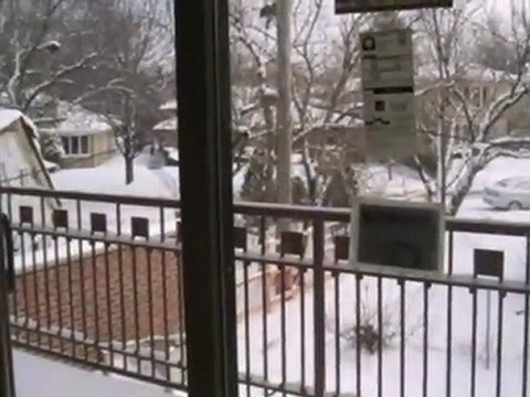 Homes for Sale - 6521 N Lincoln Ave # 21 - Lincolnwood, IL 6