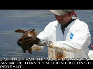 harmed by bp oil spill