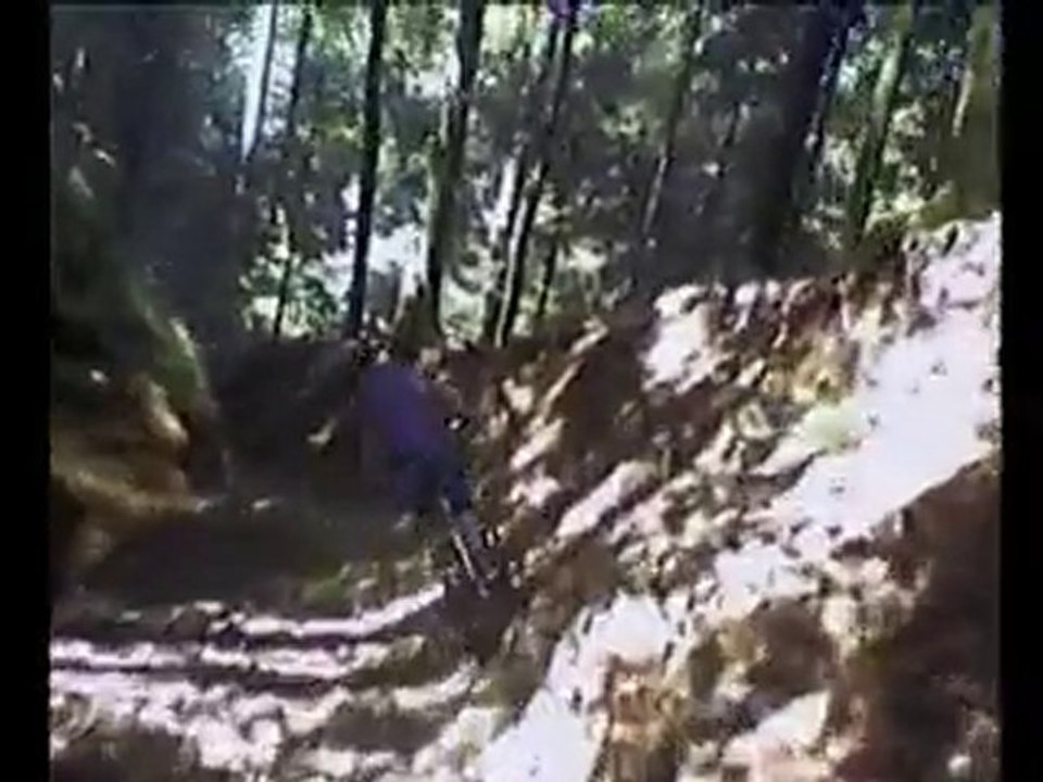 La Robellla