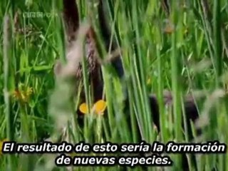 Darwin - Seleccion Natural y Población