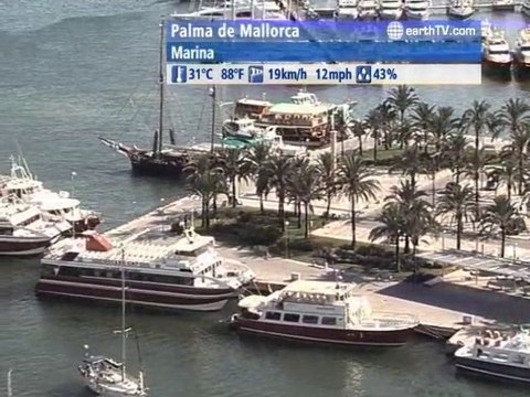 Durban - South Africa, Warnemunde - Germany, Lugano - Ticino - Switzerland, Palma de Mallorca - Spain, Washington - USA, Vienna - Austria, Berlin - Germany