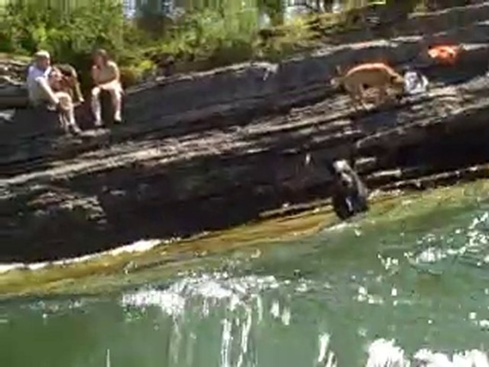 Summer Time at Wehle Park