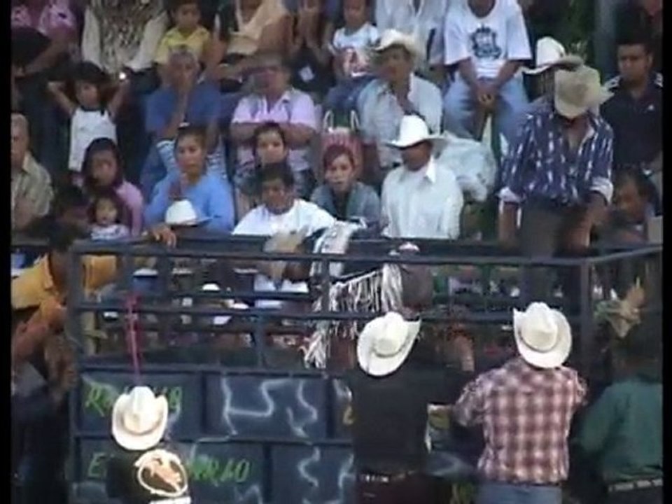 Toros 3