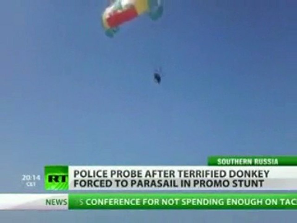 Flying donkey shocks beachgoers in Russia's south