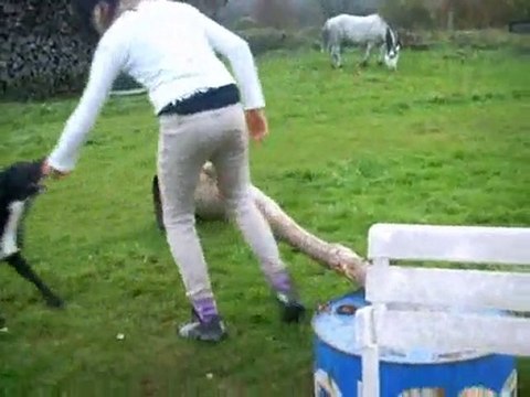 Une Jument Pas Comme Les Autres :P