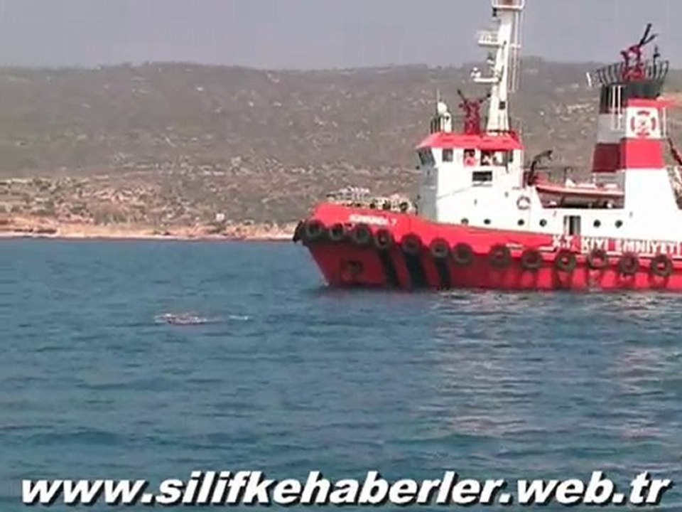 www.silifkehaberler.web.tr 'BARIŞ İÇİN YÜZDÜLER'