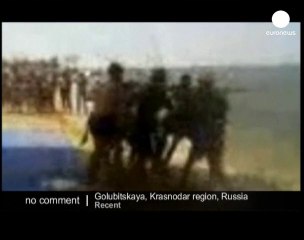 Parasailing donkey - no comment