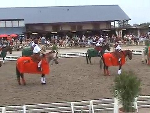 Lamotte 2010 - Grand Carrousel