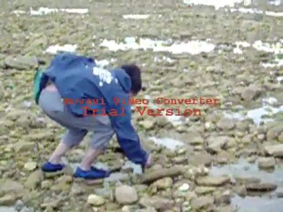 chanthou attrape les crabes de l'Ile de Ré