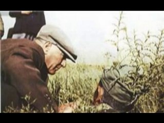 yıldız çam çalın davulları