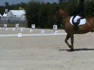 Dressage Charlélie - CCE CP1 Premium - Lamotte 2010