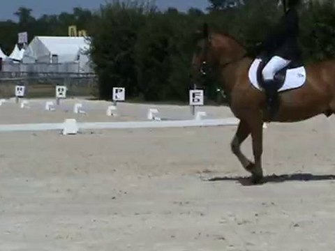 Dressage Charlélie - CCE CP1 Premium - Lamotte 2010