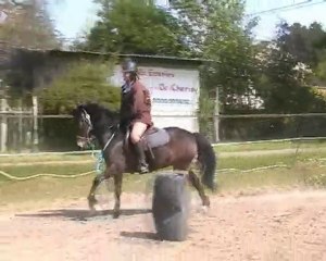 Noémie,un oiseau de passage...