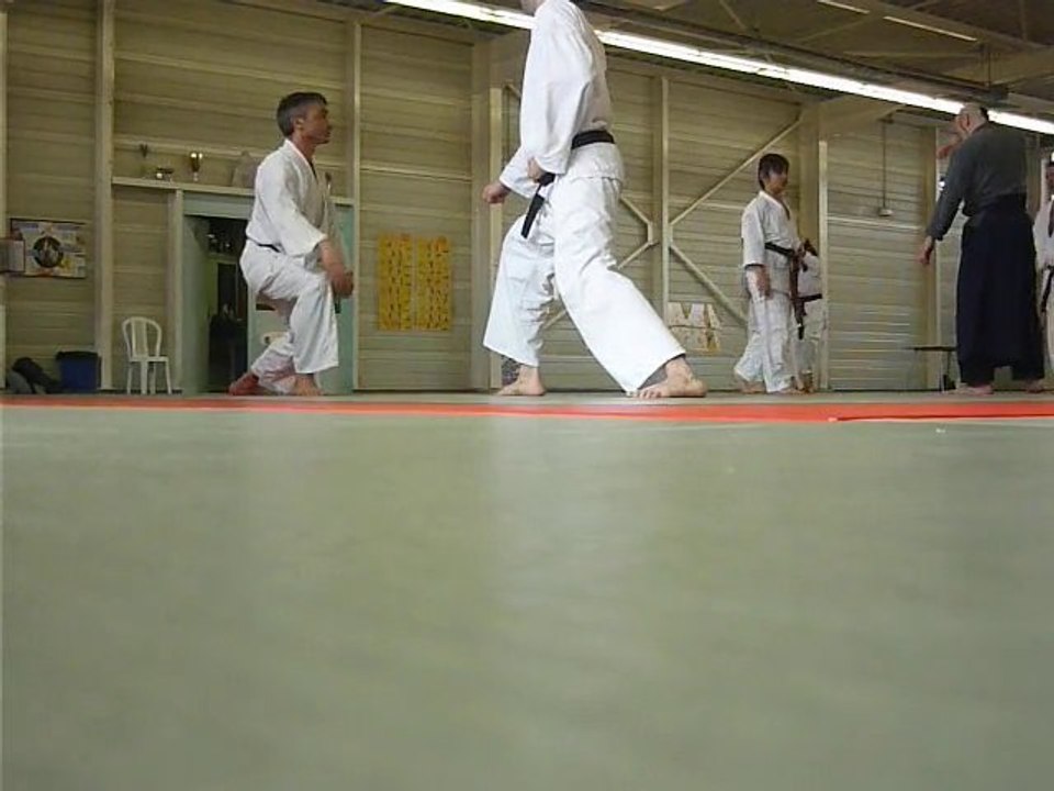 karaté do shotokai travail par deux combat arts martiaux