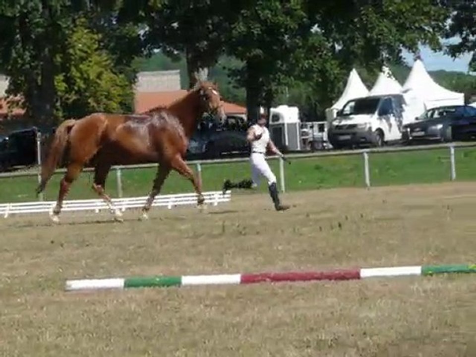 Finale CSO CIR Rosieres 2010  Presentation en main NEP