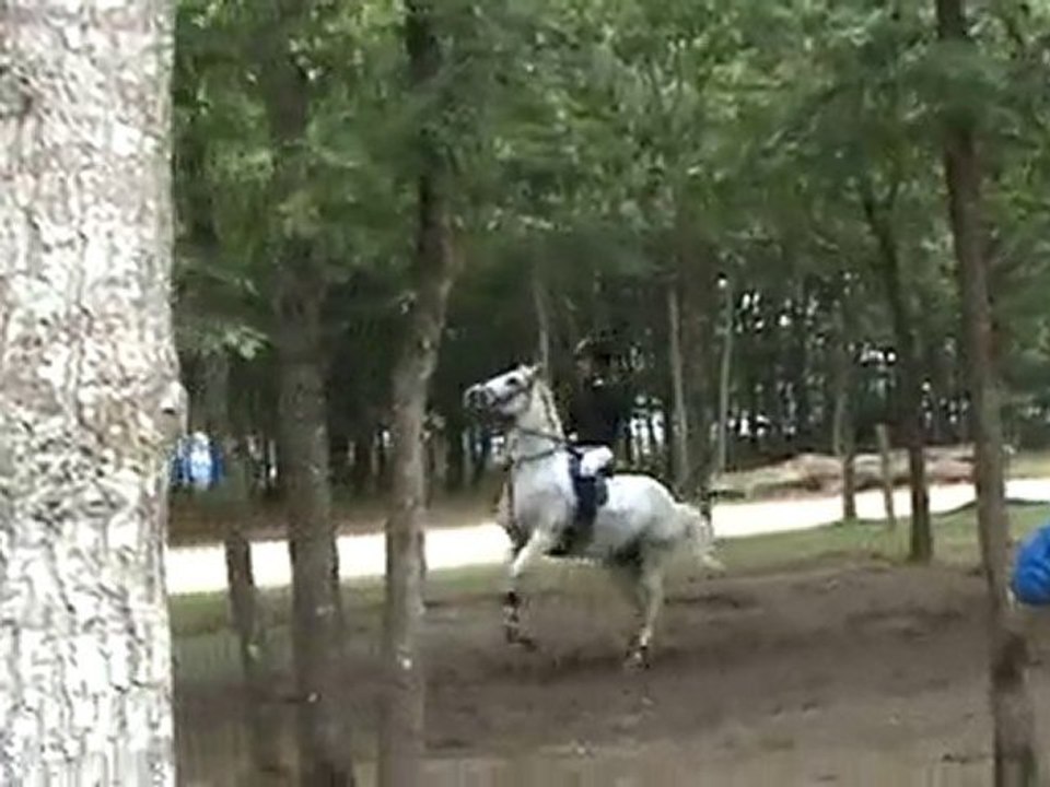 Cheval à bascule - Charlélie et Ouioui Lamotte 2010