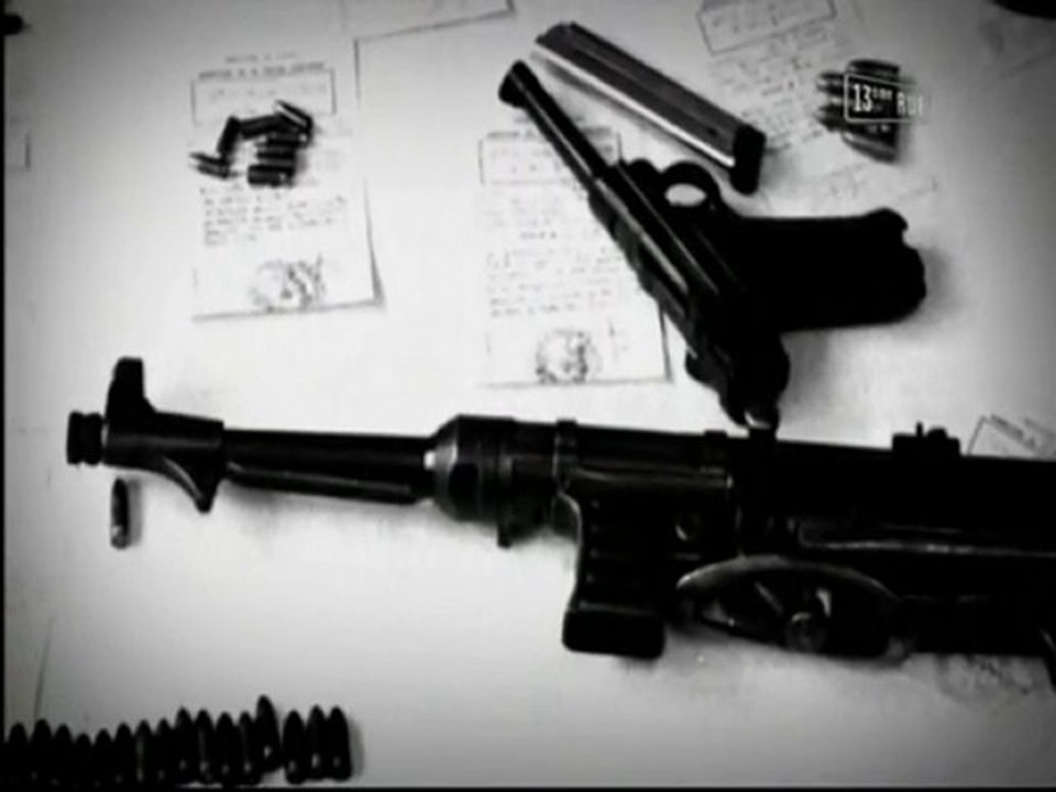 Gangs de France : Grenoble et Lyon 3/3 (Doc 2010)