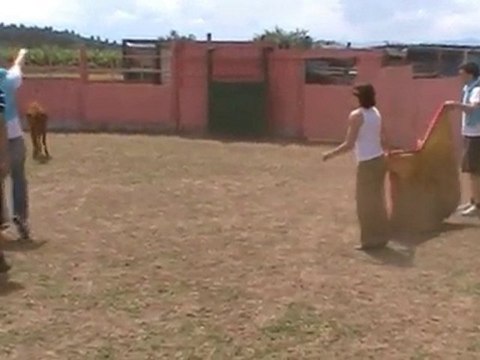 (Despedidas de soltero) en Logroño. Capea Logroño.