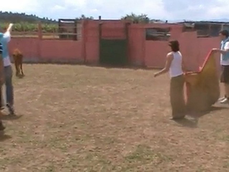 (Despedidas de soltero) en Logroño. Capea Logroño.