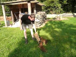 Fidji & ses soeurs 1